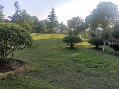 -滨湖塘西河公园