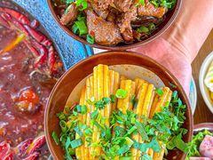 -阳阳老火锅(小南门店)