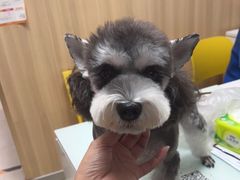 -宠福鑫康馨动物医院·骨科·眼科