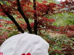 景点-梅岭月亮湾山体公园