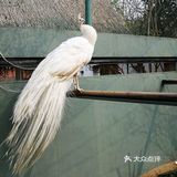 带宝贝一起给宝贝们玩耍吧！