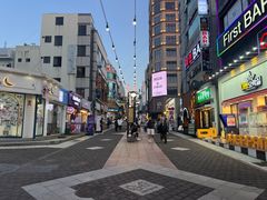 -宝健路步行街(Pedestrian Shopping Street)