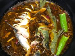 -白洋淀灶台鱼(名佳花园店)