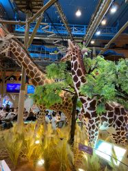 -卡通尼·Safari非洲探索乐园·生日会(金桥国际商业广场店)