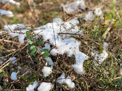 -镇江市南山风景名胜区竹林景区
