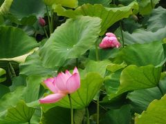 -东坡赤壁风景名胜区