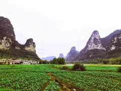 -明仕田园