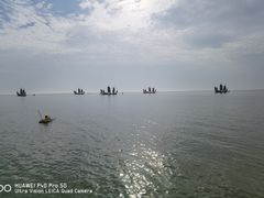 -贡湖湾湿地公园