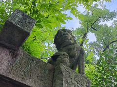 -天一阁博物院