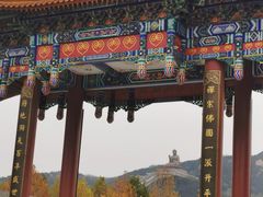 -龙口南山旅游景区