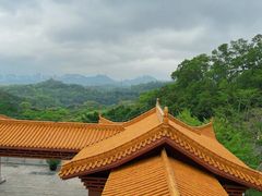 -深圳仙湖植物园