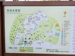 -广东茂名森林公园