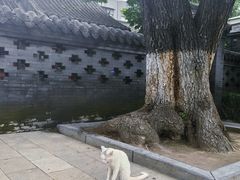 -张学良旧居陈列馆