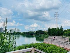 -广东花都湖国家湿地公园