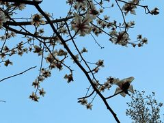 -宜家家居(高新商场店)