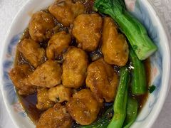 -沙田新强记烧鹅海鲜酒家