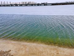 -丁香湖公园