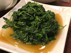 -老大同酒家·糟卤·本帮菜(中山公园店)