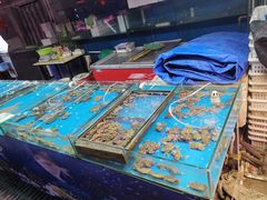 海鲜-十五大街农贸市场