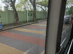 -重庆海昌加勒比海水世界