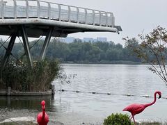 -大兴滨河森林公园