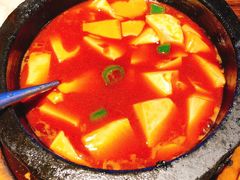石锅沸腾豆腐-嘉禾·悦享餐厅(八方汇店)