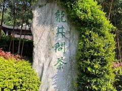 -十八棵（老龙井）御茶园(老龙井店)