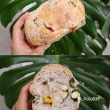 最终还是没能逃过在面包里吃到蓝纹奶酪的命运[笑哭]