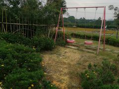 -紫颐香薰山谷景区