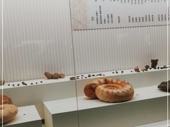 -青岛贝壳博物馆