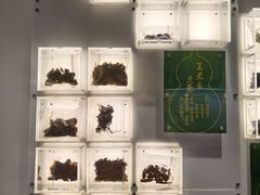 -广东中医药博物馆