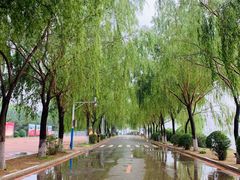 -丁香湖公园