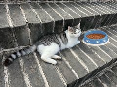 -柳沟豆腐宴69号福豆堂