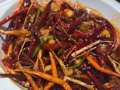 -周姑娘不等味·牛羊肉火锅·螃蟹罗氏虾·烤鱼烤串(高邮店)