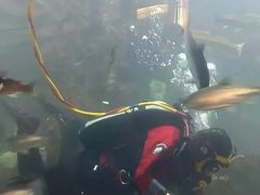 -西雅图水族馆
