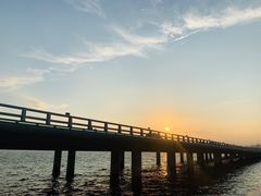 -演武大桥观景平台