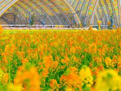 -中国天府农业博览园