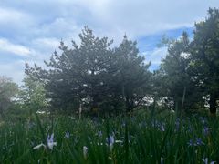 -北京西山国家森林公园