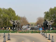 -北京野生动物园