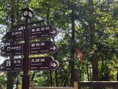 -青城山