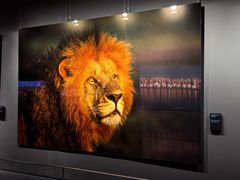 -罗红摄影艺术馆