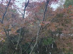 -南京市江宁方山