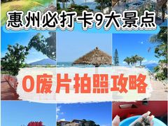 -广东惠东海龟国家级自然保护区