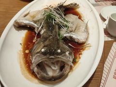 -顺风汤馆·广府粤菜(江宸天街店)
