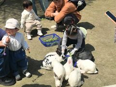 -菊园百果园