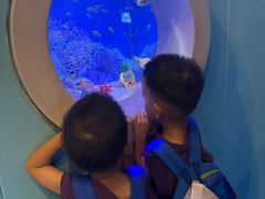 -芜湖新华联大白鲸海洋公园