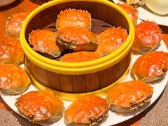 -北京歌华开元大酒店
