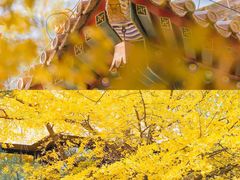 -颐和园
