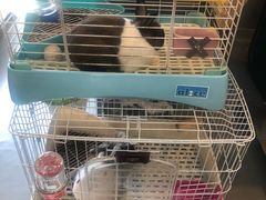 -UltraForce超源健身私教工作室(长楹天街精品店)