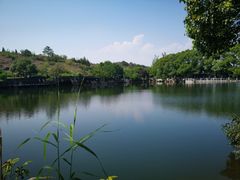 -白马涧龙池景区